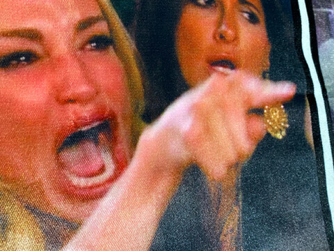 Meme del gato en la mesa y la mujer que le grita